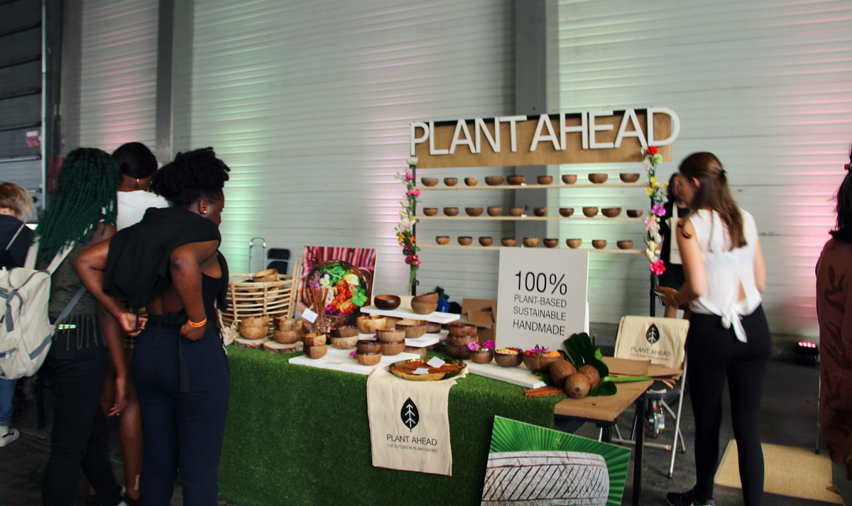 Vegan Summer Fest 2018 Belgium - The Vegan Eskimo