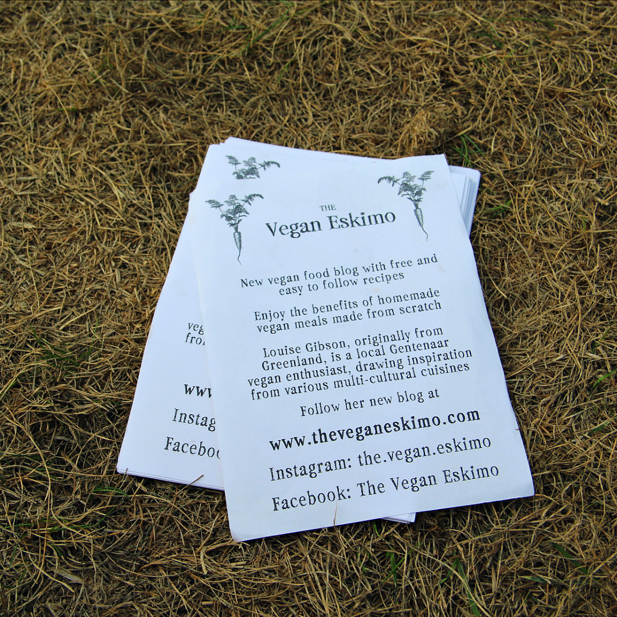 Vegan Summer Fest 2018 Belgium - The Vegan Eskimo