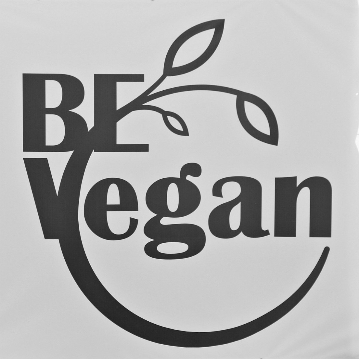 Vegan Summer Fest 2018 Belgium - The Vegan Eskimo