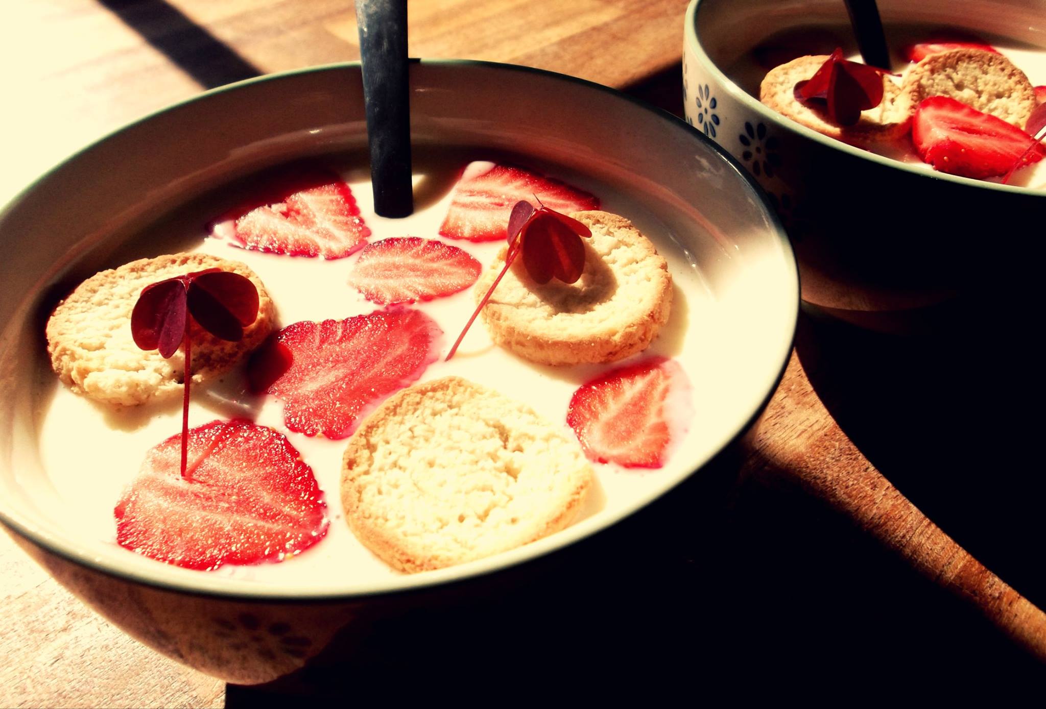 Vegan Cold Danish Summer Soup Koldskål / Cuddlenog - The Vegan Eskimo