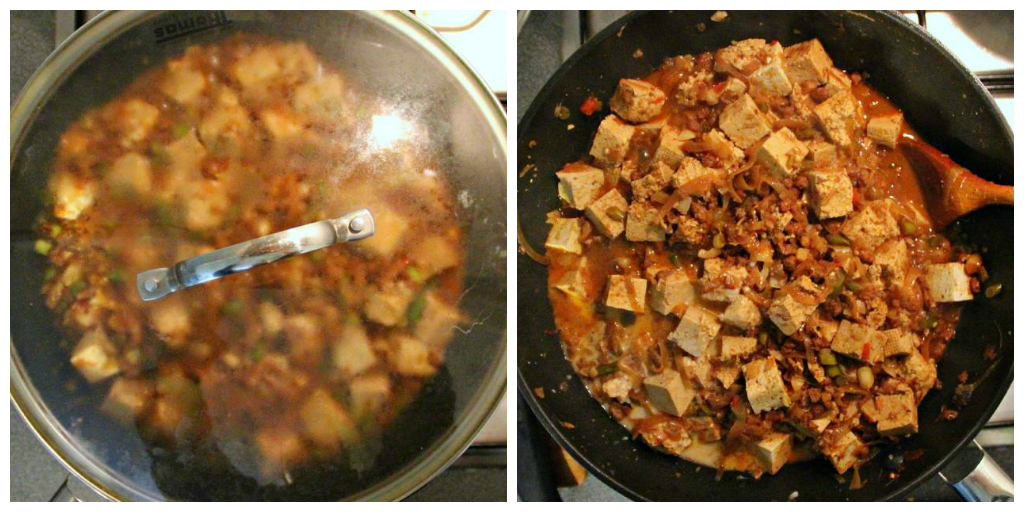 Vegan Sichuan Style Mapo Tofu - The Vegan Eskimo